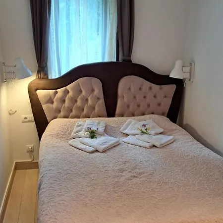 Apartment Kamena Kuca Lux *