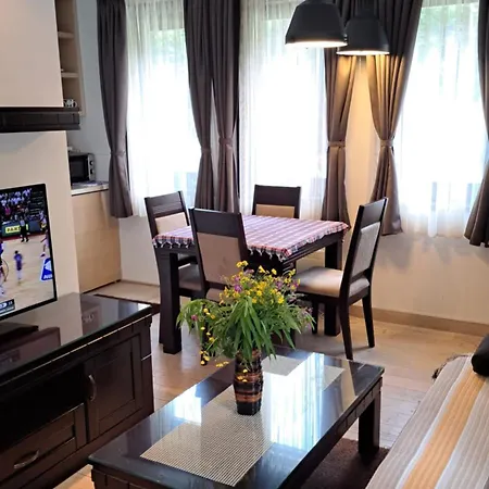 アパート Kamena Kuca Lux コパオニク