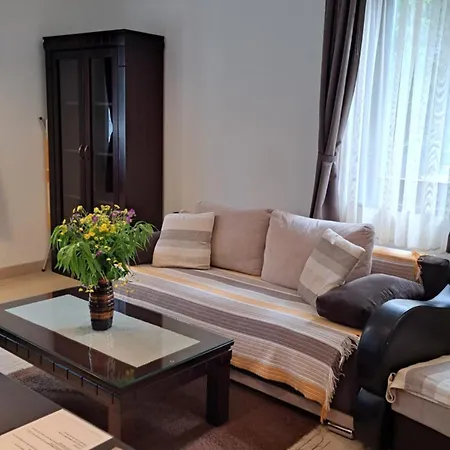 Kamena Kuca Lux Apartment Kopaonik