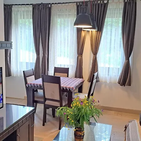 Apartment Kamena Kuca Lux Kopaonik