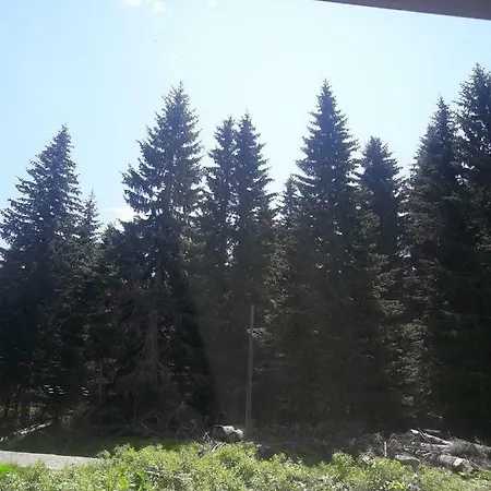 Апартаменты Kamena Kuca Lux